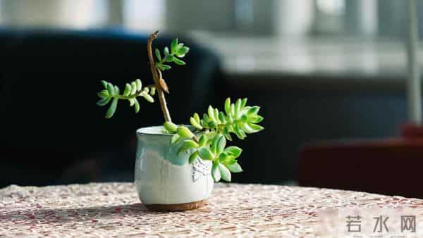 老伴想把孙子户口落我家，得知我把房子过户给了女儿，她转身走人