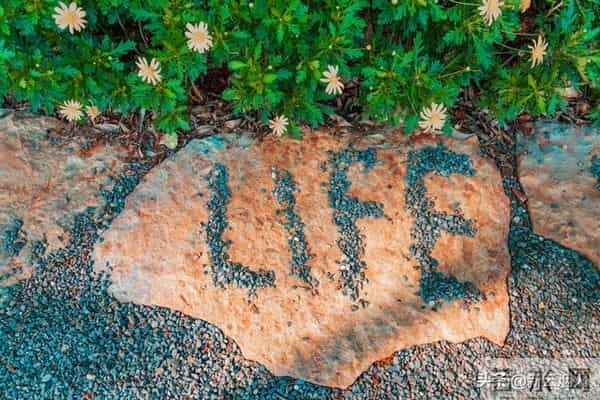 天意安排,好运降临,快来接吧!