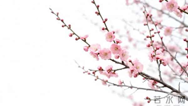 两性关系:女人不愿靠近你?多半是你踩了这 4 个 “触碰雷区”