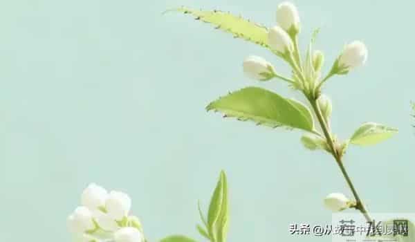 有人疯狂想着你时，你是有感应的