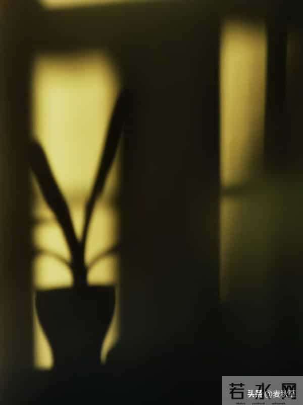 退休后,每天六件普通小事,让我快乐又充实