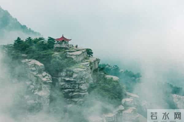 属虎人千万不要帮这两种人,恩将仇报还伤感情!