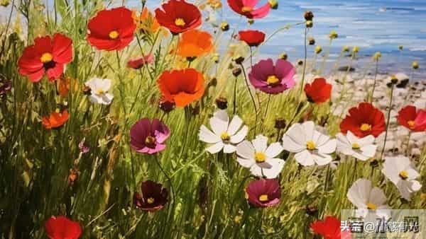 爱你,恋你,梦中有个你,无缘也温暖