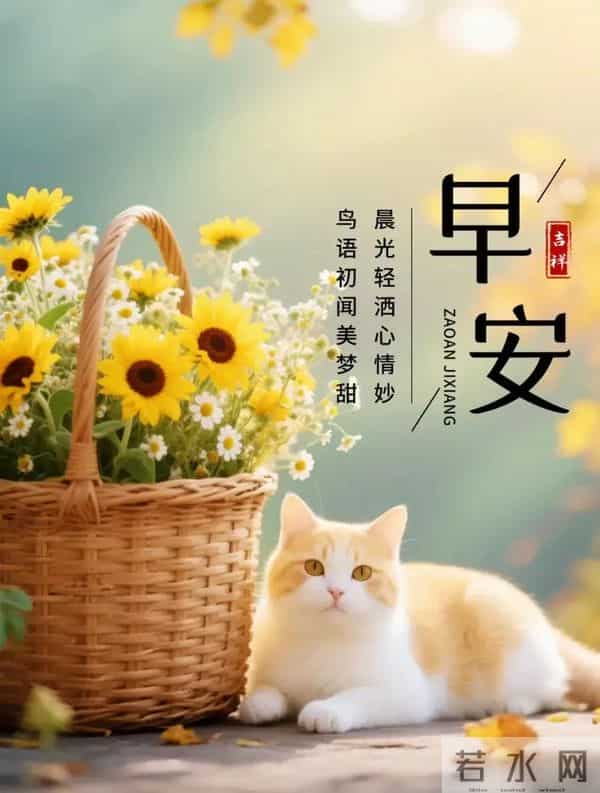 9张特漂亮大家早上好图片,万事如意,吉祥安康!