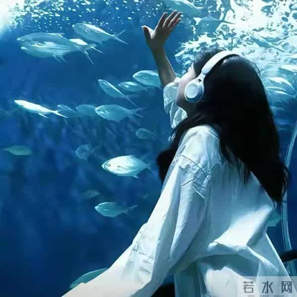 央视封神文案,句句入心,句句治愈