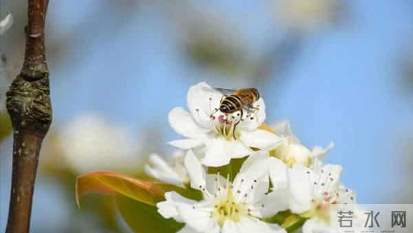 退休跟前夫离婚被儿子说自私,5200退休金不帮他,余生只想活自己