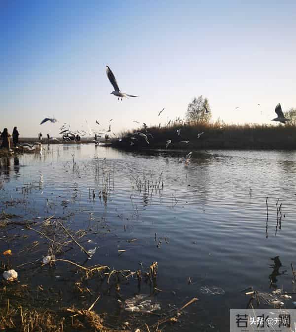 两性关系：晚年的“异性缘”：不是幸运降临，是你值得被温柔以待