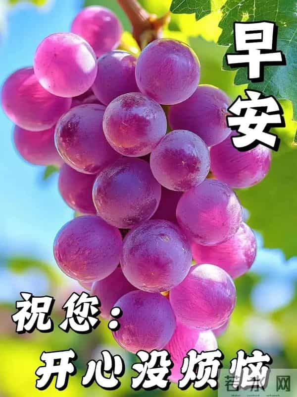 「11月27日」9张冬日早安图片:冬日有梦,幸福安宁