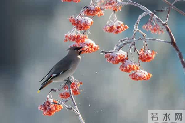 报复小人的三种狠招：不动声色，却能让对方心态崩掉
