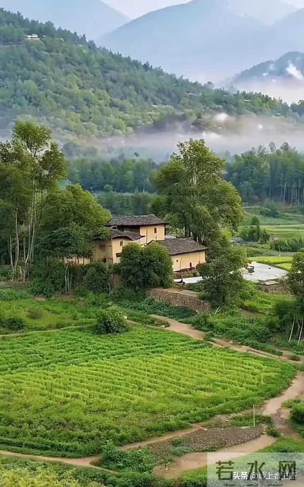 老了才悟透：人生没有什么放不下的，一切都是最好的安排