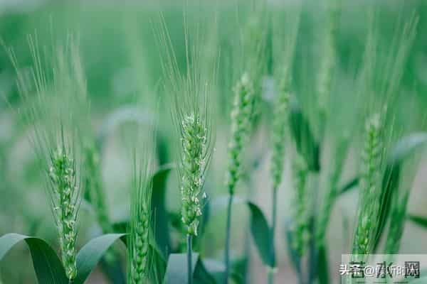 从明天起,你的人生将开启全新篇章,信不信由你!