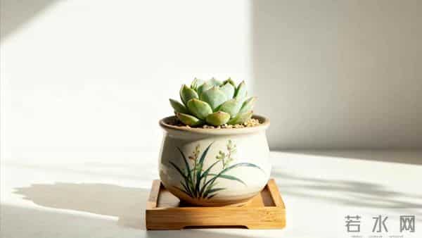 老伴想把孙子户口落我家，得知我把房子过户给了女儿，她转身走人