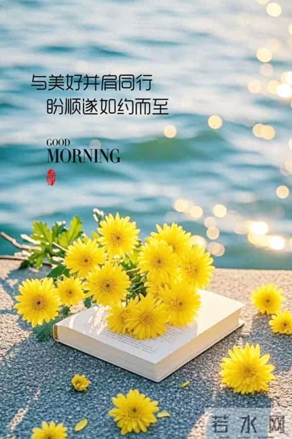 感恩节 - 精美早安图文祝福。以感恩,赴冬暖。”