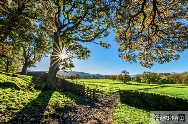 别以为善良是软弱,厚道人不计较,但老天从不偏袒任何人!