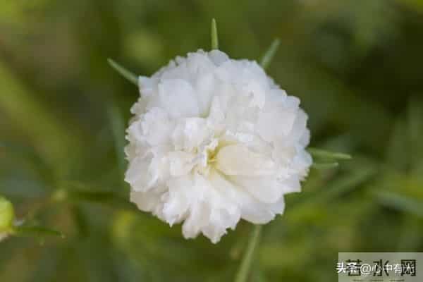 两性关系：60多岁阿姨直言：女人找老伴，最想要的是这点