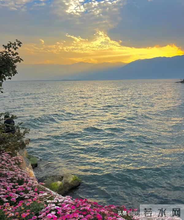 心有清静,万物生长:与生活温柔周旋的智慧