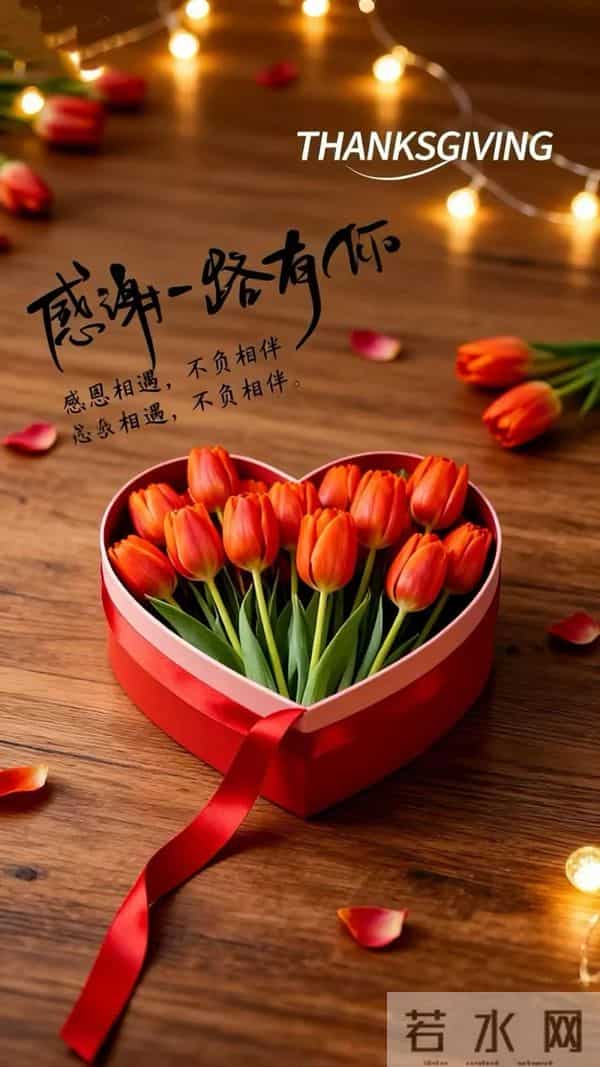 11月27日周四早安,今日感恩节,感恩有你,一路相伴,愿美好常伴