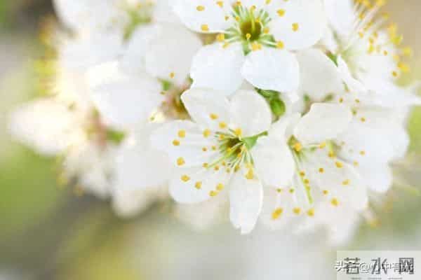 两性关系：60多岁阿姨直言：女人找老伴，最想要的是这点