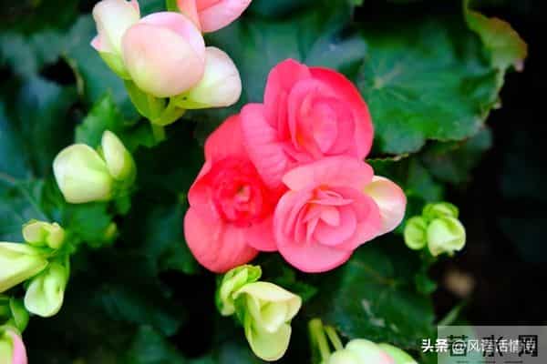 揭秘:女人喜不喜欢你,看她抗不抗拒这几个动作就够了