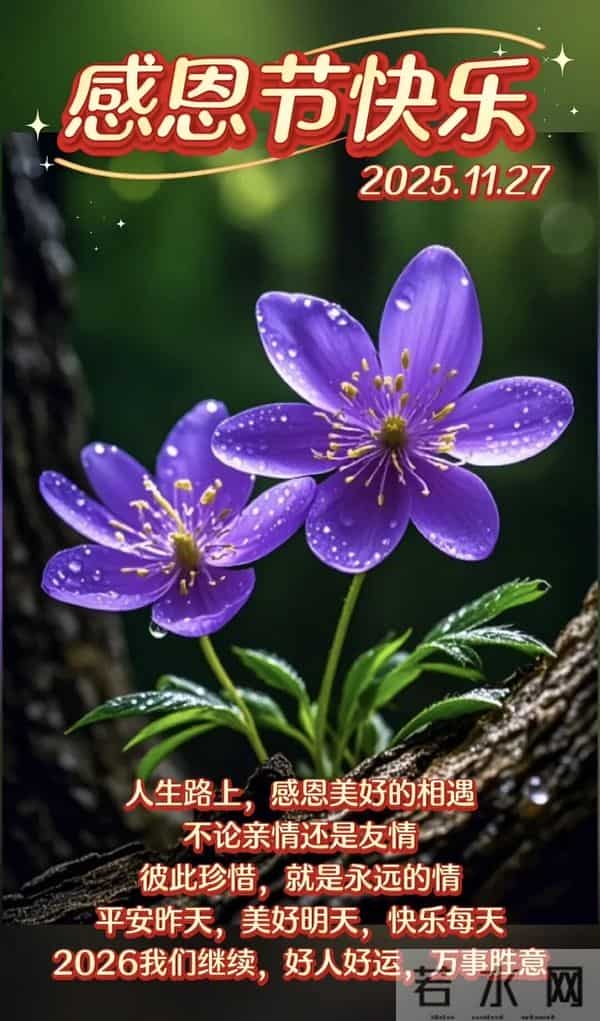 初冬第19天，今日感恩节，感恩遇见，感谢有你