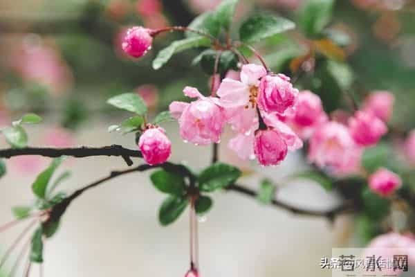 揭秘：女人喜不喜欢你，看她抗不抗拒这几个动作就够了