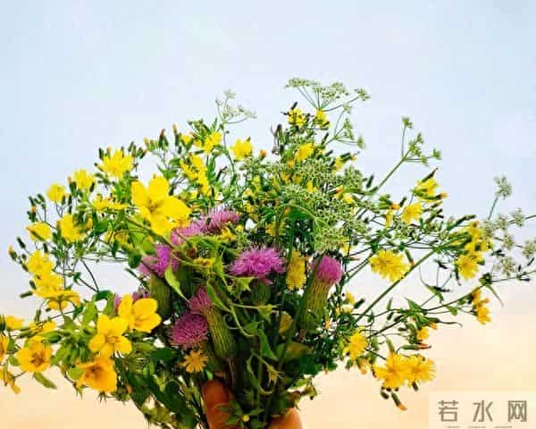 无怨无悔爱着你,痴念成疾也无悔