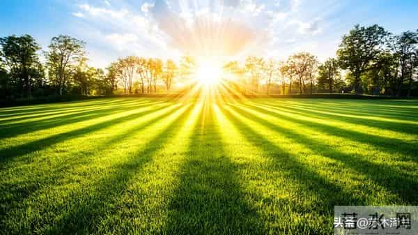 别以为善良是软弱,厚道人不计较,但老天从不偏袒任何人!