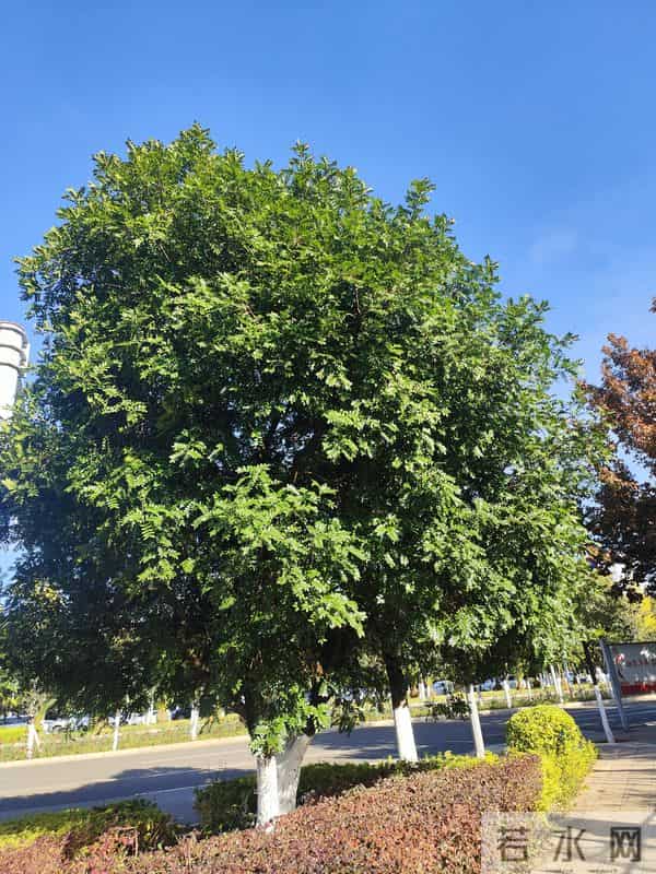 蛇不知道它有毒人不知道有错因为每个人只会站在自己的角度看问题