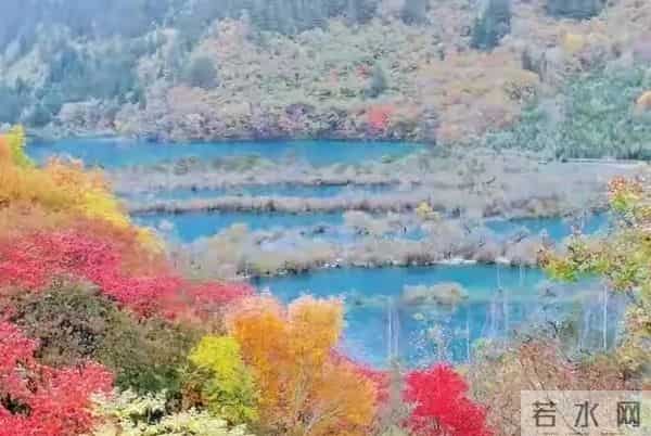 到了人生后半场，异性之间的关系再好，基本上都是这两个目的