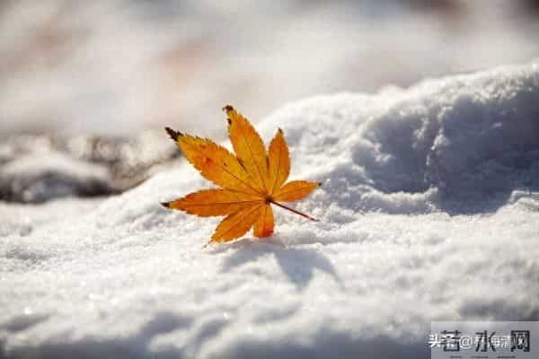 岁末浅冬暖,往事皆温柔:这一年的美好你还记得吗?