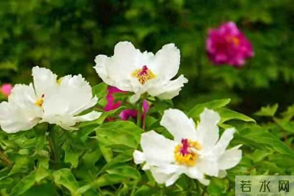 请告诉女儿:第一次去男方家,这几件事别做,才不会被人看不起!