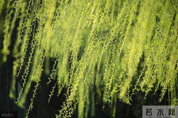 那些堪称封神的哲学金句,每一句都是思想之光!