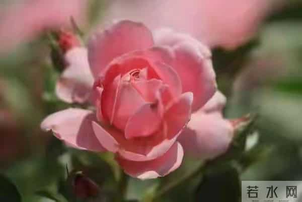 女人好不好撩，微信上发“三个字”试探一下，心里就有数了