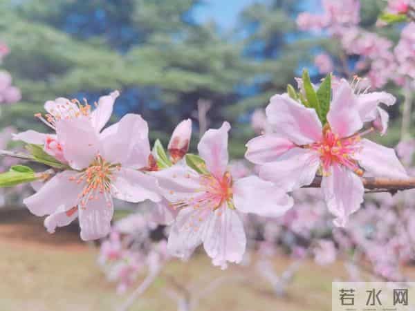 男女关系铁律:“对方不爱你的原因,只有这一个”