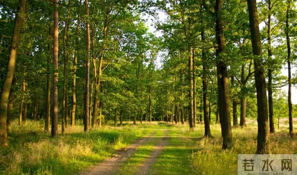 如果有人这样对你，不管是谁，建议绝交，没必要再来往了