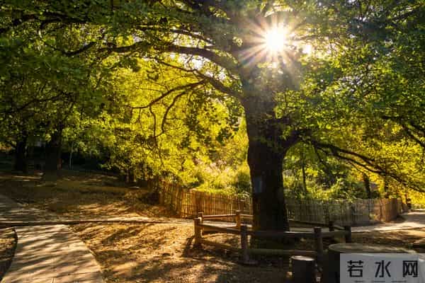这段话,一辈子都写不出来,句句入心,永不过时,直接抄了