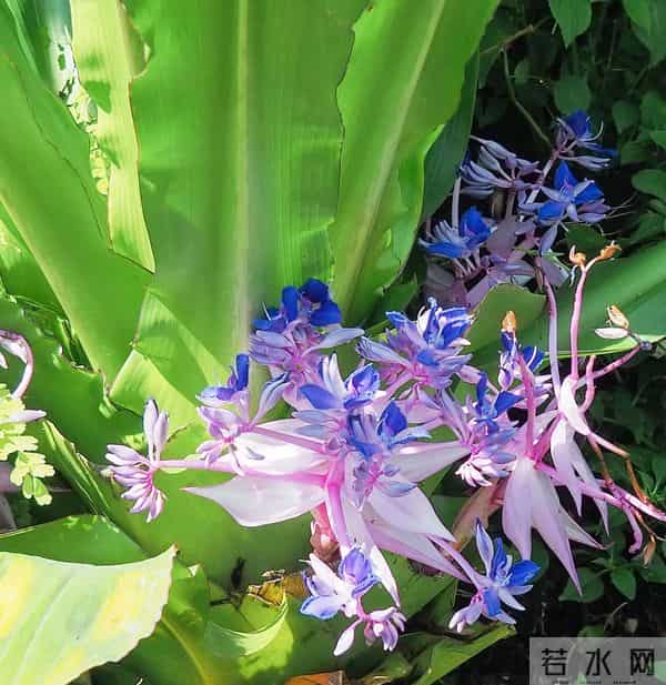 我们之间没有什么好说的,我对你失望透顶