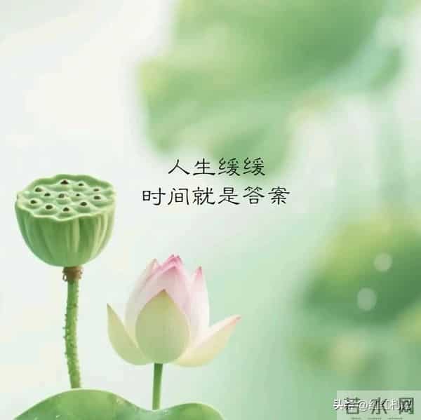 余生很短，别让遗憾太长。