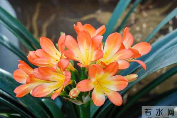 二婚市场的真实现状：人到中年离婚，男人女人谁更有市场？