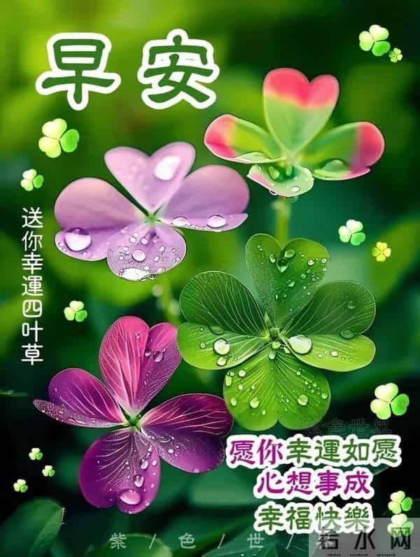2025年11月27日早上好 早安精美图片 温馨祝福 周四愉快 今日好心情