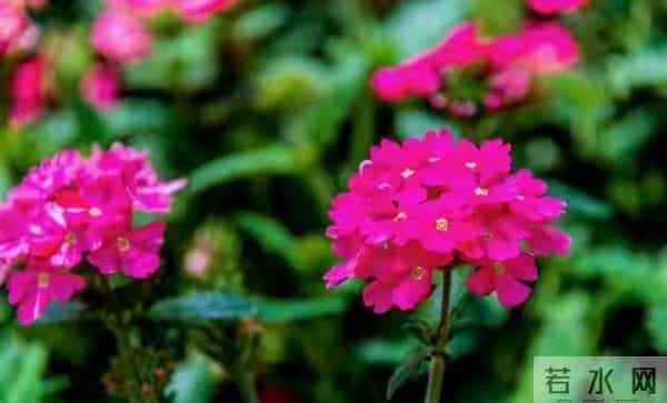 善良有温度，聪明有力量：人生最美的活法，就是暖人亦悦己