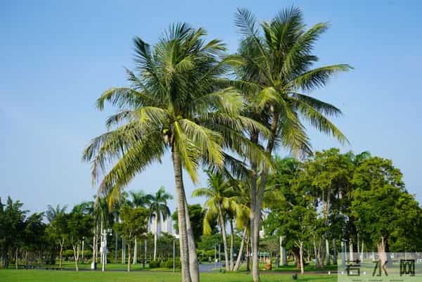 人老了才发现,想要跟子女关系融洽,聪明的老人都会这样做!