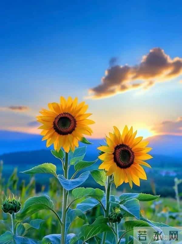 财运将至，好运已来，快快签收