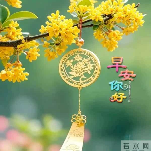 2025年11月27日早上好 早安精美图片 温馨祝福 周四愉快 今日好心情
