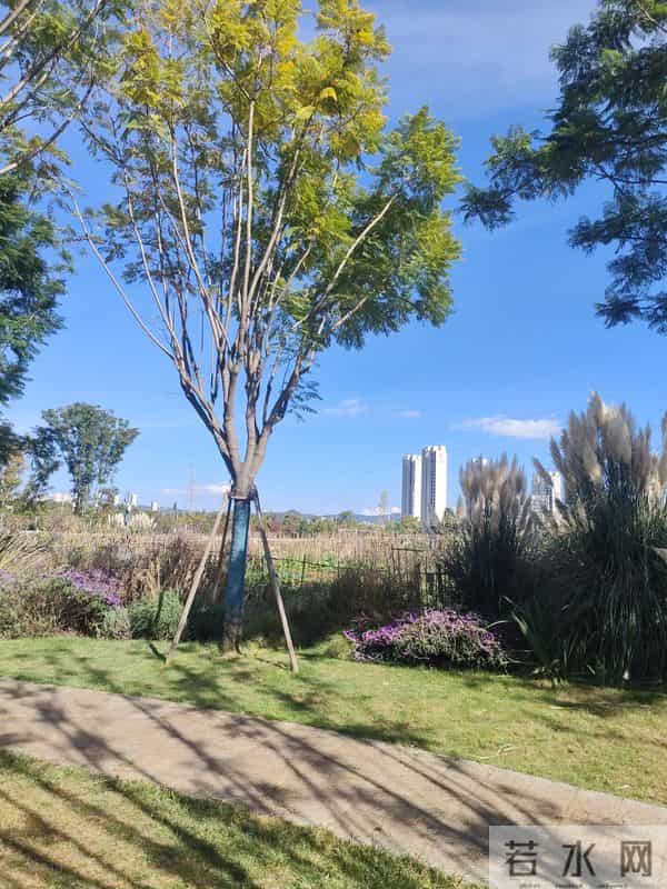 人这辈子，心宽一寸，事淡一分，心安一生，日子自有温柔相伴