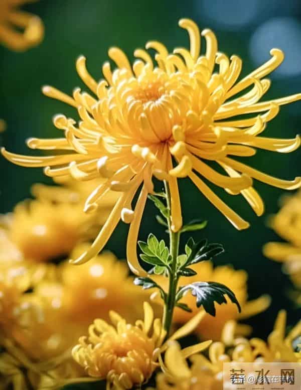 张晓磊爆款文章:一物可以换一物,人心未必换来人心。