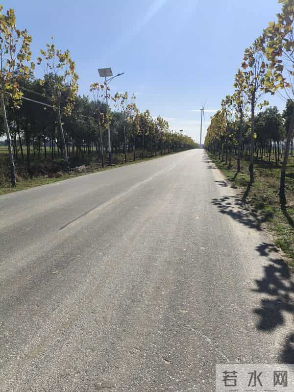 突然间觉得自己活着没有一点一点意义,好像如行尸走肉一般