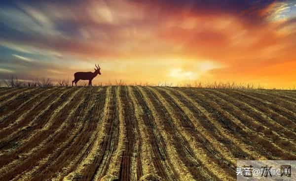 摩羯座必看！一周内鸿运降临，你的人生将彻底改变！