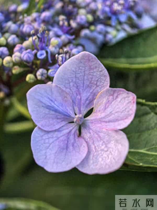 感动十二星座的最佳手段：