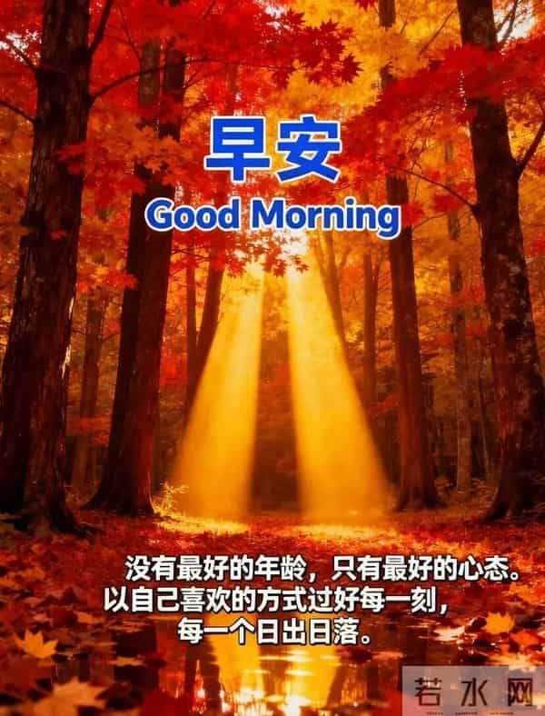 11月27日早上好 早上好清新淡雅图片 早上好图片最新今天 每日问候
